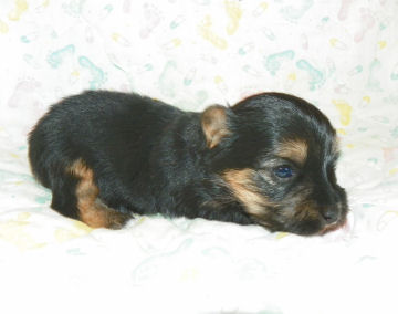 click here to see me grow