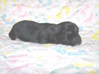 click here to see me grow!