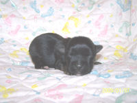 click here to see me grow!
