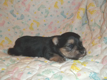 click here to see me grow