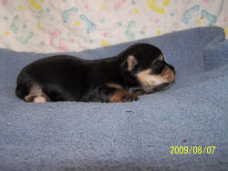 click here to see me grow
