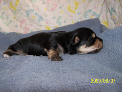 click here to see me grow